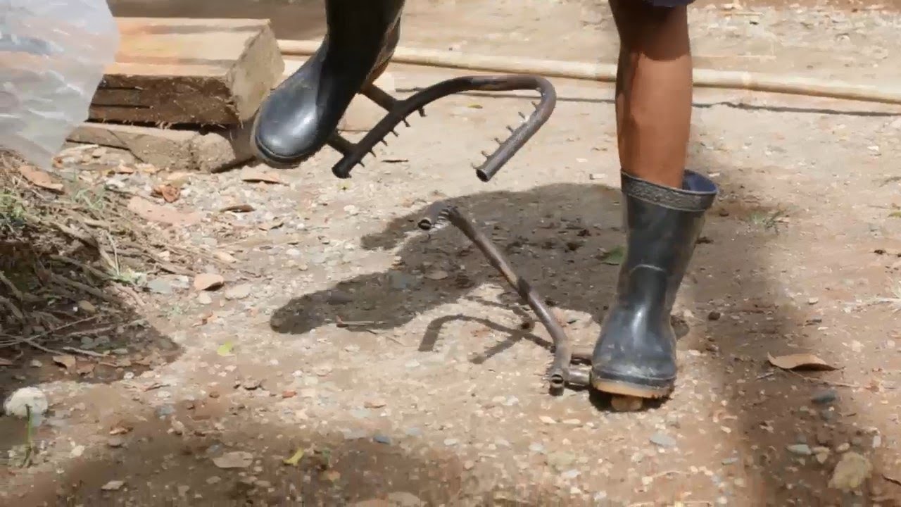 SEPATU BOOT PEMANJAT POHON PINANG . Bikin beruk nangis liatnya