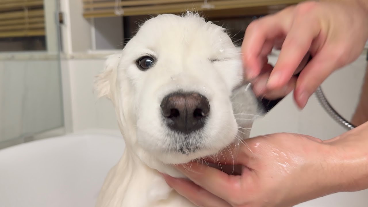 She ate sand… now she’s paying the price