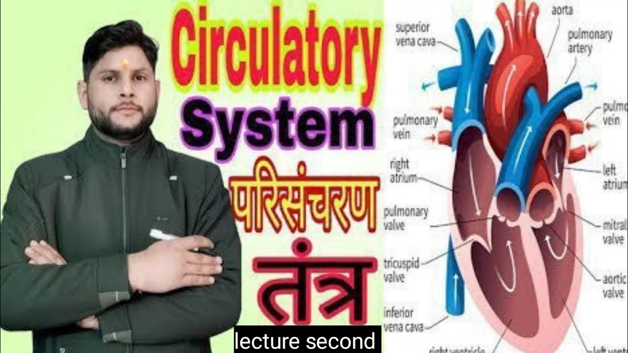 Circulatory System in Hindi मानव परिसंचरण तंत्र, पूरी जानकारी | Heart, Blood & Vessels lecture secon