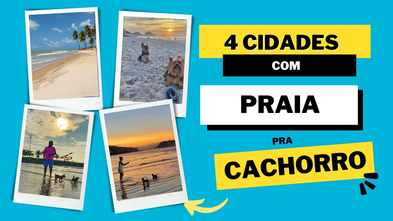 Quais são as 4 praias pra Cachorro no Brasil?
