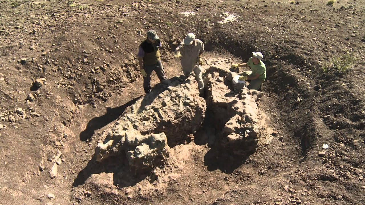Paleontología: Huellas de El Tranquilo