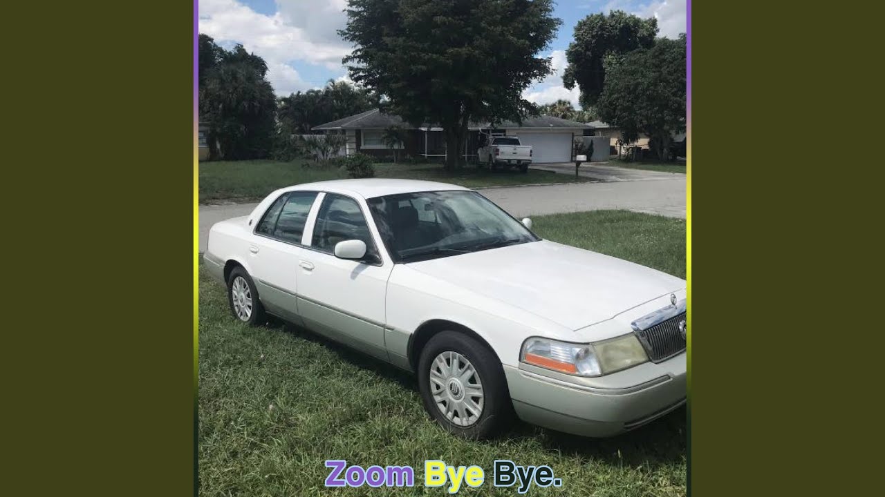 Zoom Bye Bye (REAL JUNGLE)