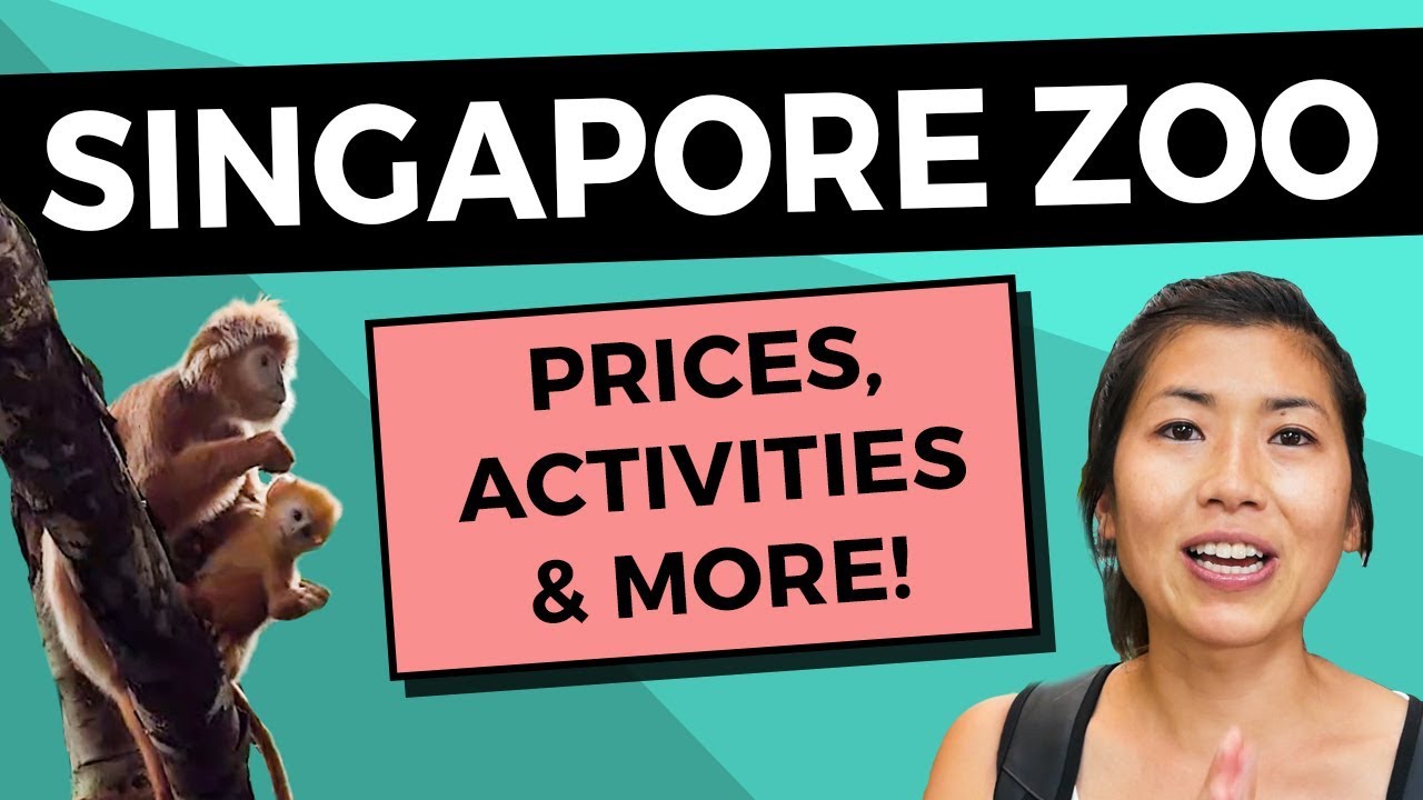 Singapore Zoo: The BEST in the World (2020 Travel Guide)
