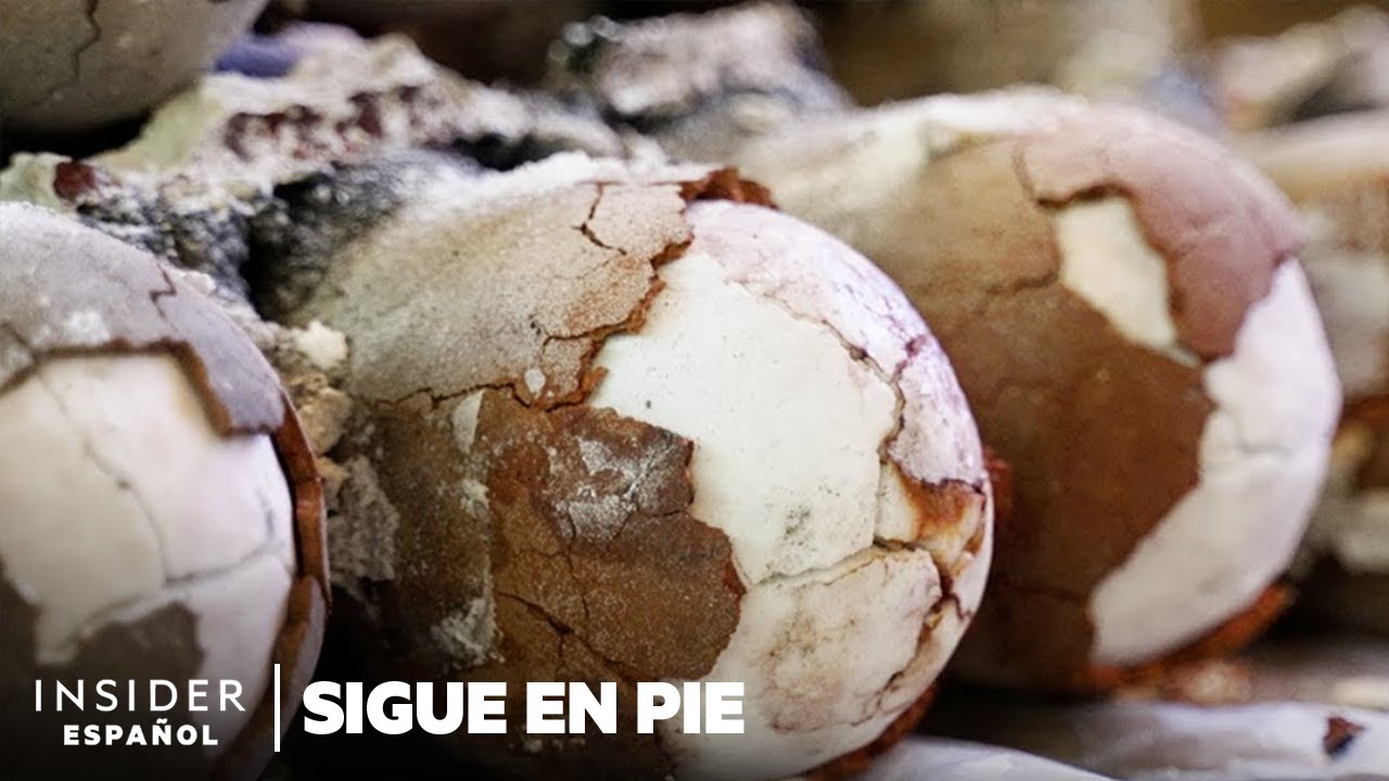 Este “huevo de dinosaurio” es una de las sales más raras del mundo | Sigue en pie | Insider Business