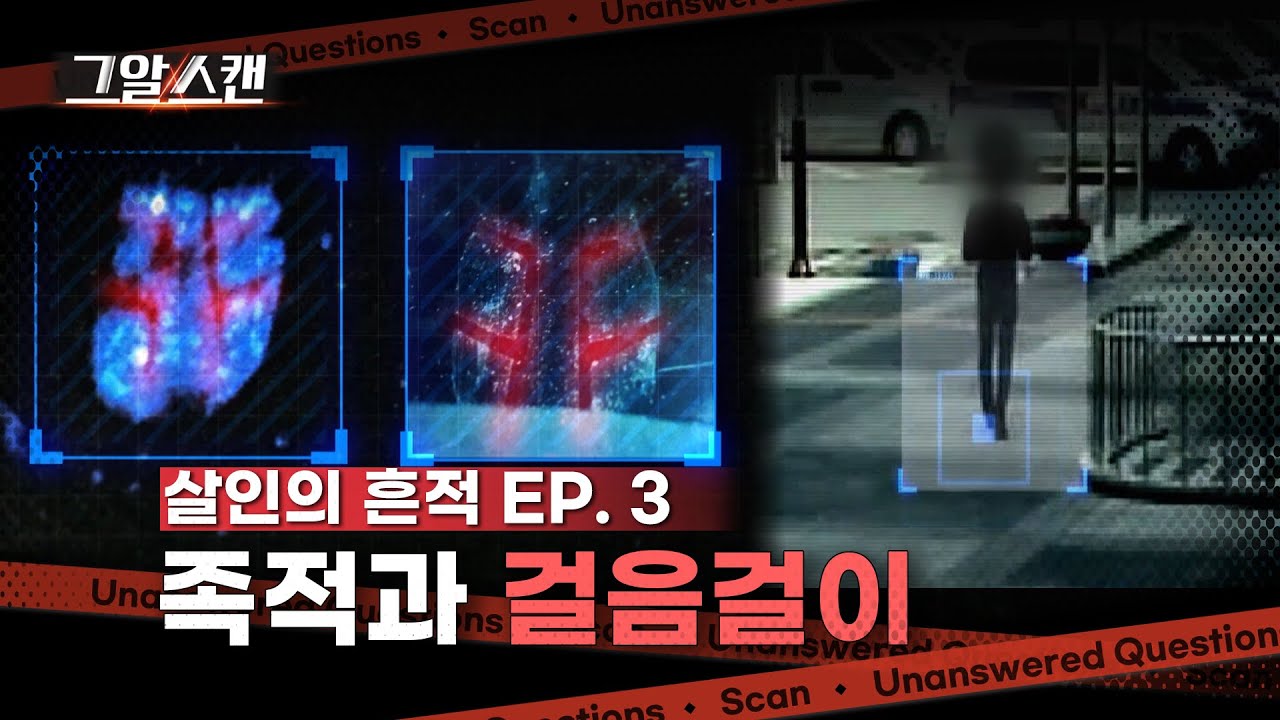족적과 걸음걸이  |  스캔