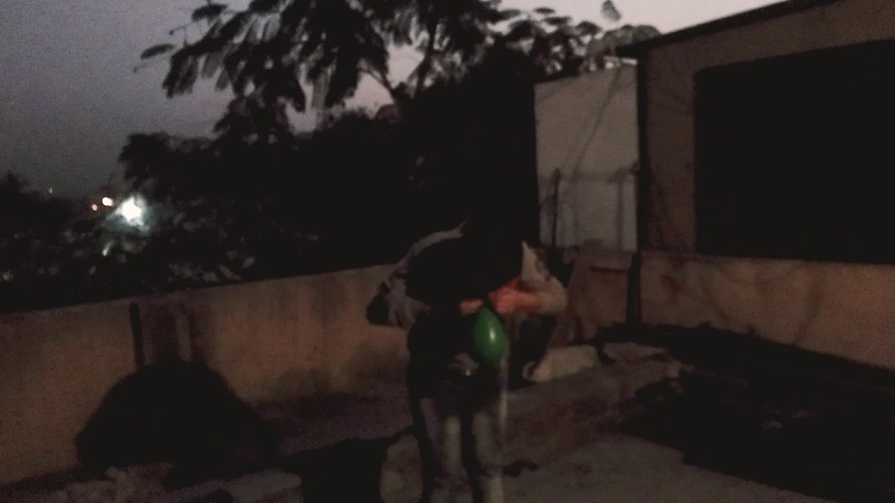 Balloon Rain