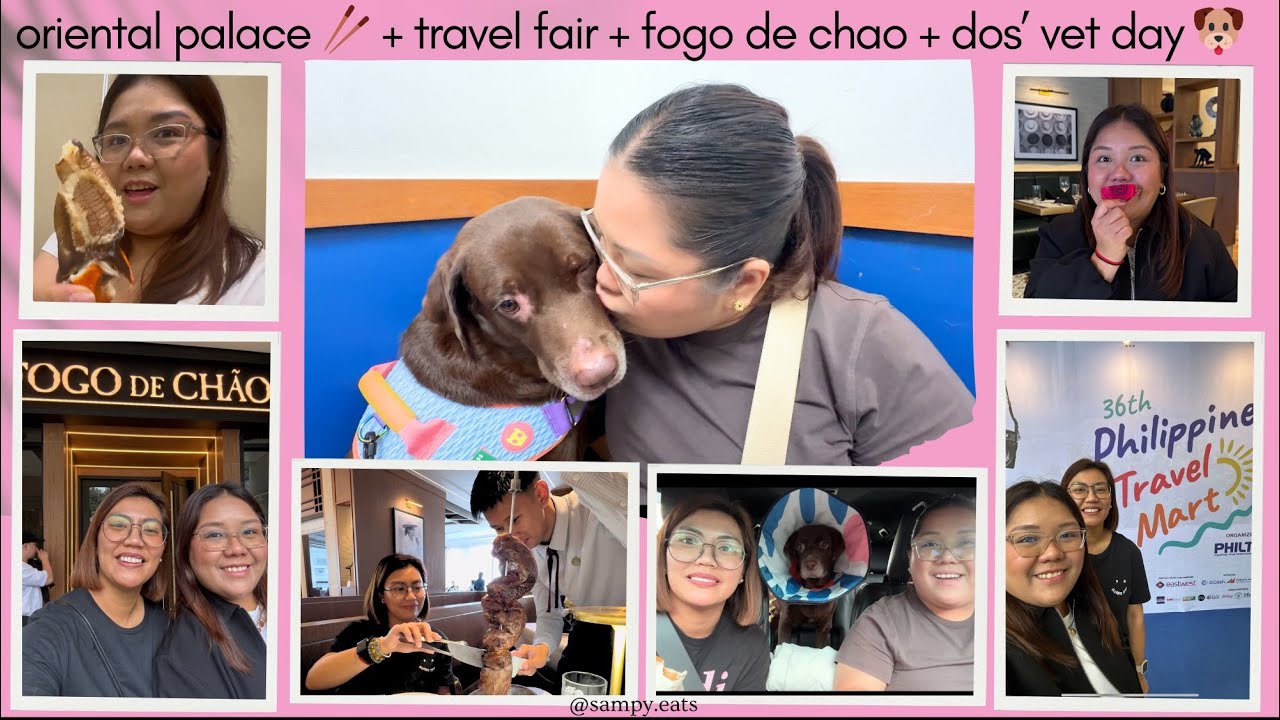 ✨WEEKLY VLOG 7 ✨ oriental palace 🥢 + travel fair + fogo de chao + dos’ vet day 🐶