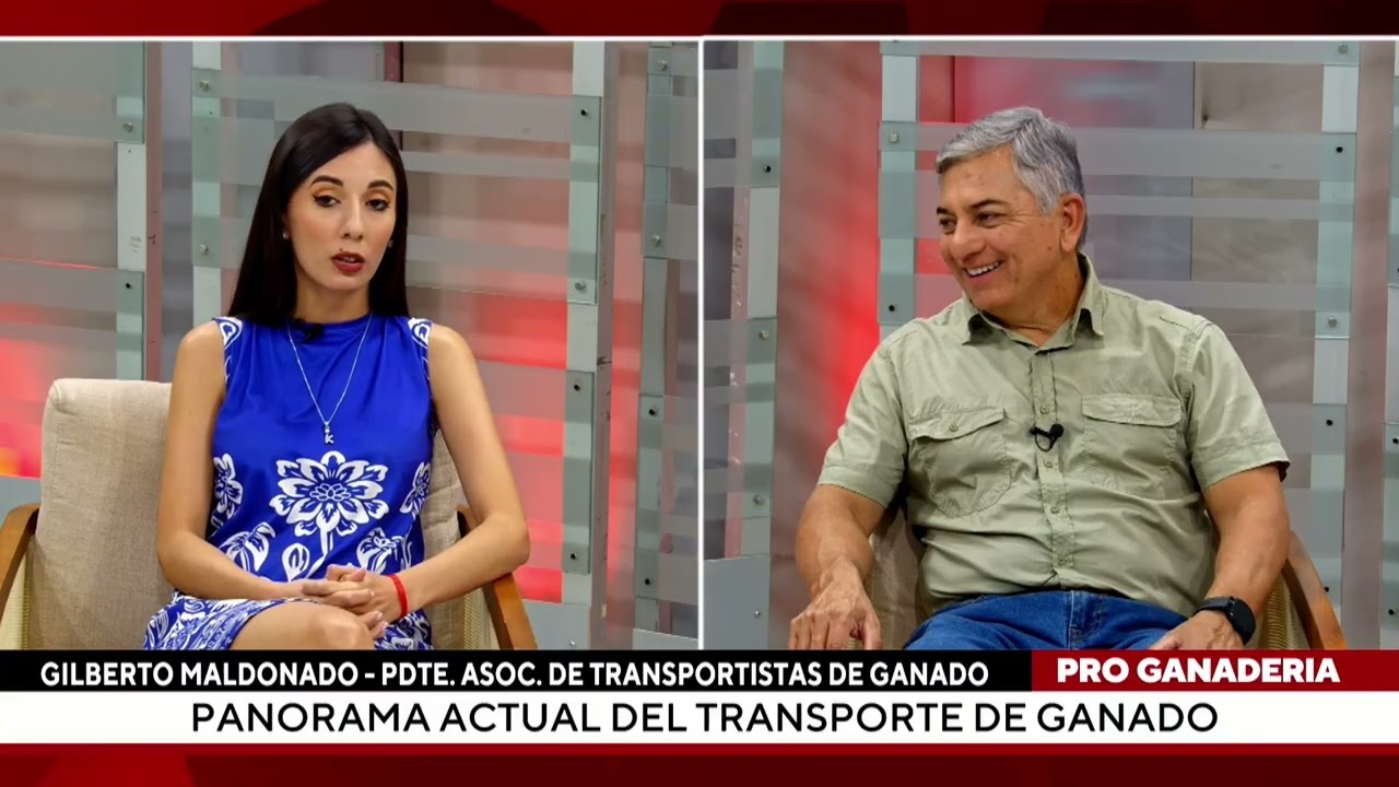 Panorama actual del transporte de ganado