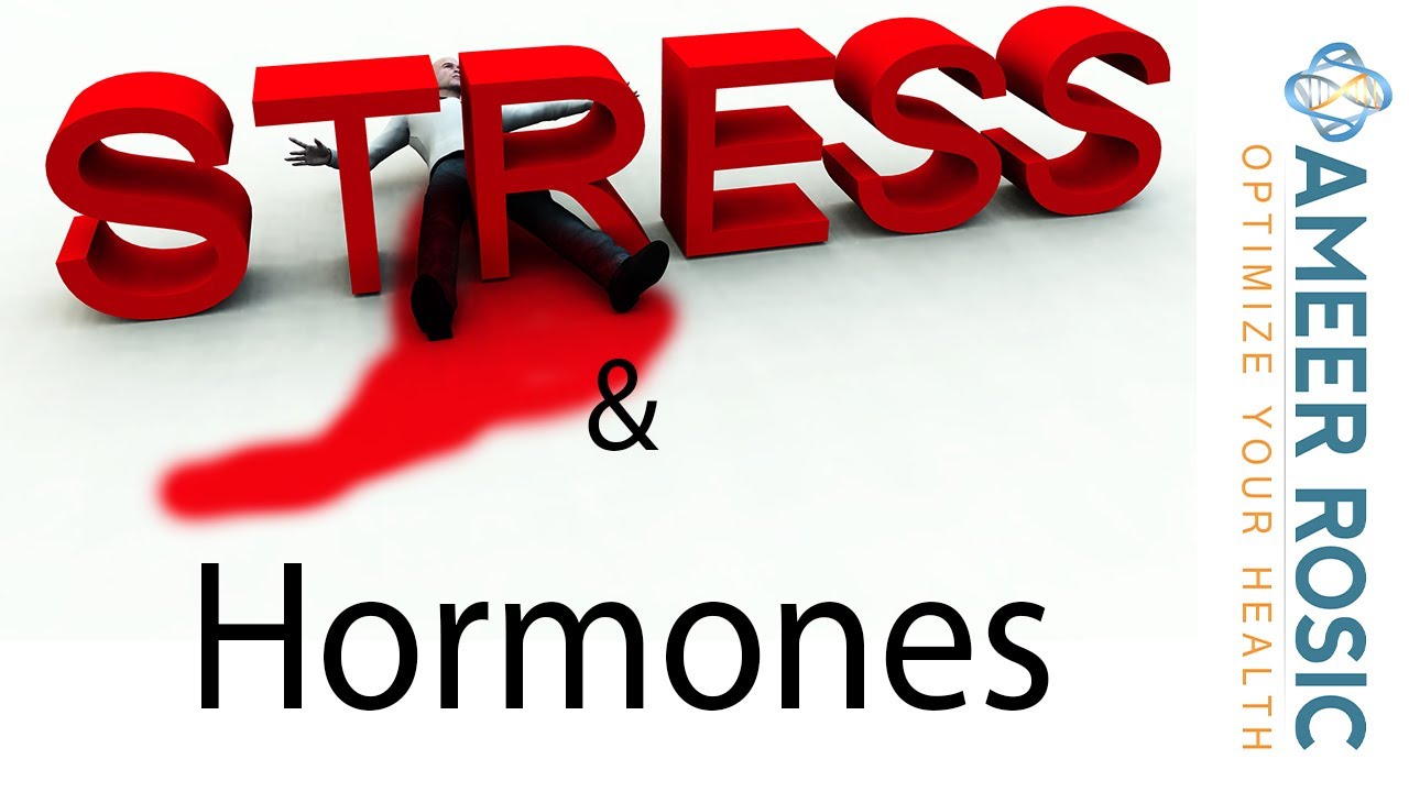 How to Optimize your Hormones lesson 2: Pregnenolone Steal