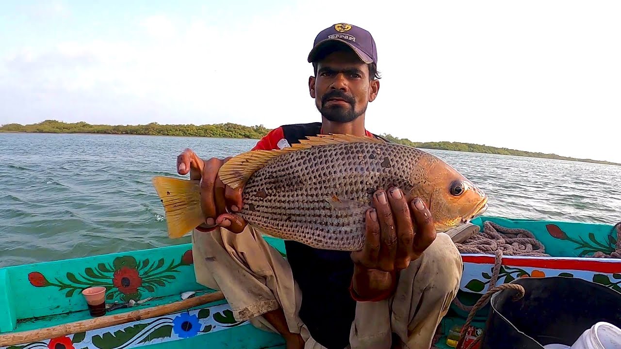 Mangroves Fishing Pittiani Side | Bottom Fishing 2022