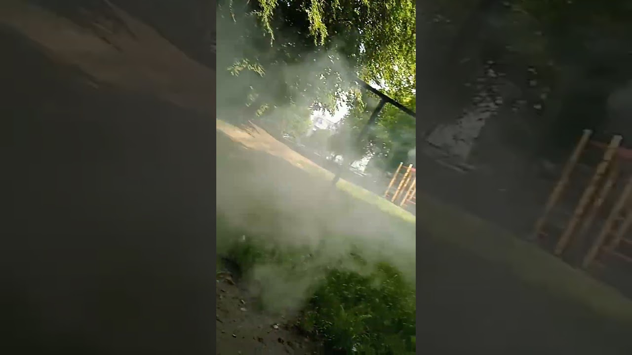 Voopo vinci q