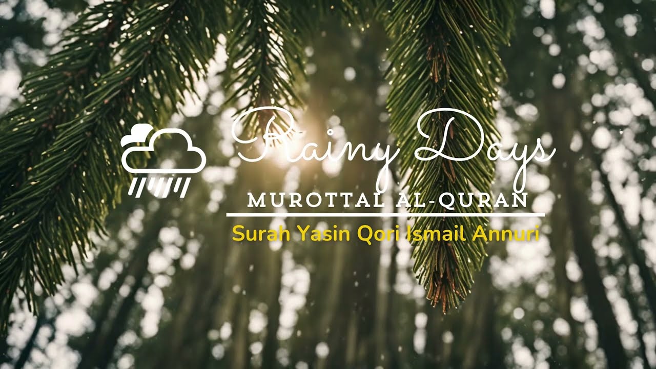 Murottal surah Yasin Qori Ismail annuri | eliminate stress and anxiety #rainysleep #rainyrelaxation
