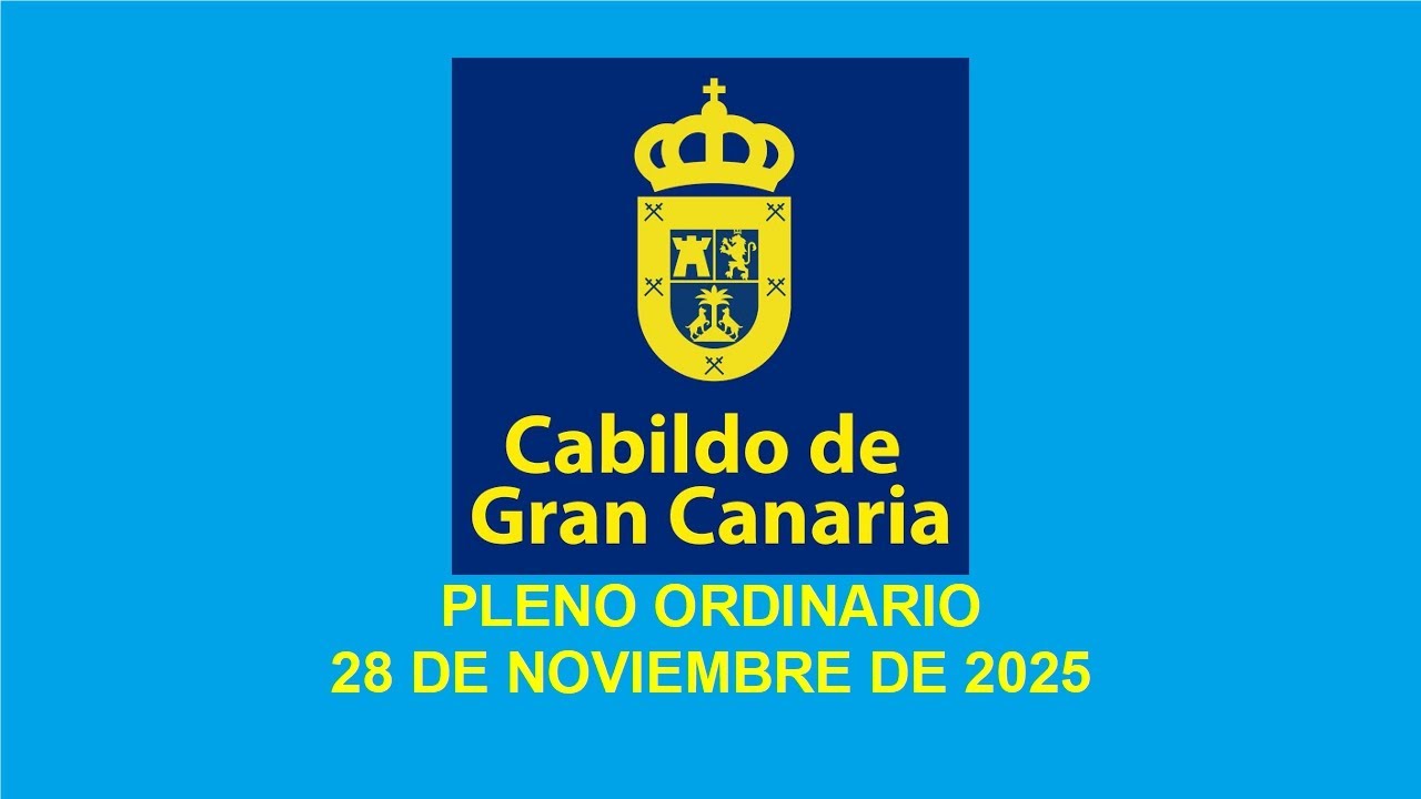 PLENO ORDINARIO 28 DE NOVIEMBRE DE 2025