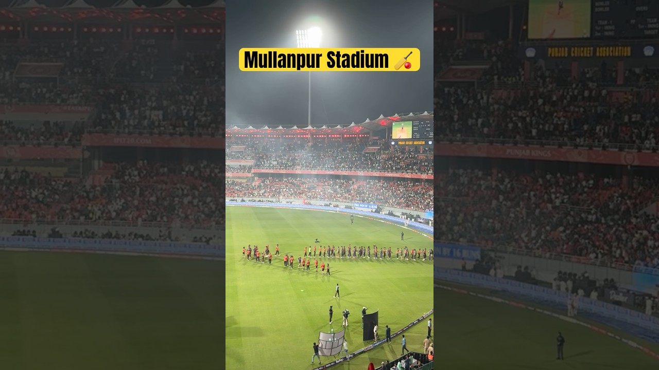 Mullanpur Stadium 🏏#cricket #mullanpur #cricketstadium #ipl #ipl2025 #ytshorts