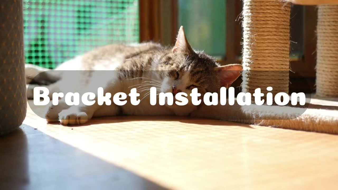NUNU LAB Wall Mounted Cat Climbing Shelf Installation Guide - Screw Types and Installation Methods
