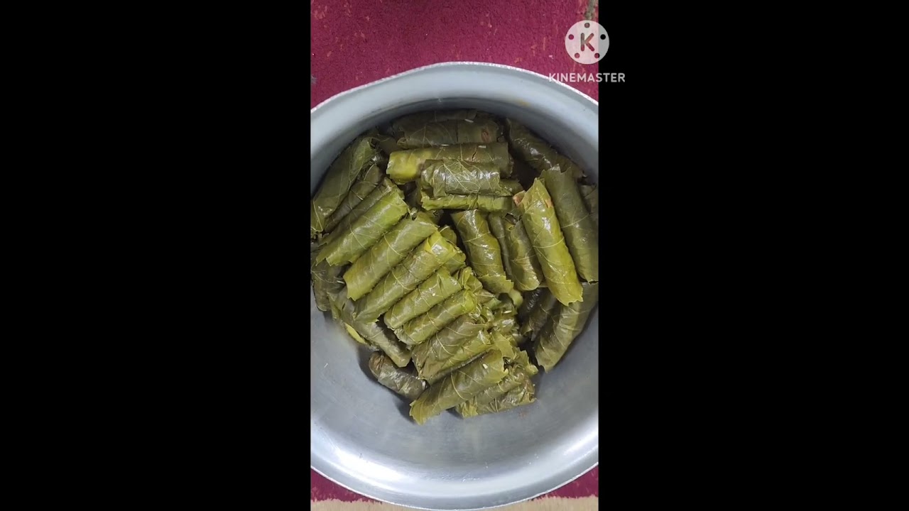 يومياتي في شهر رمضان 