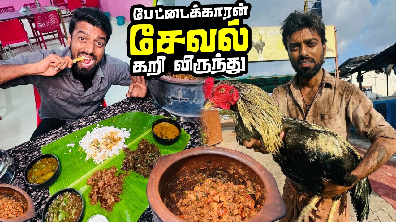 Fighter Cock Non-Veg Feast 🤤🍗🔥 | DAN JR VLOGS