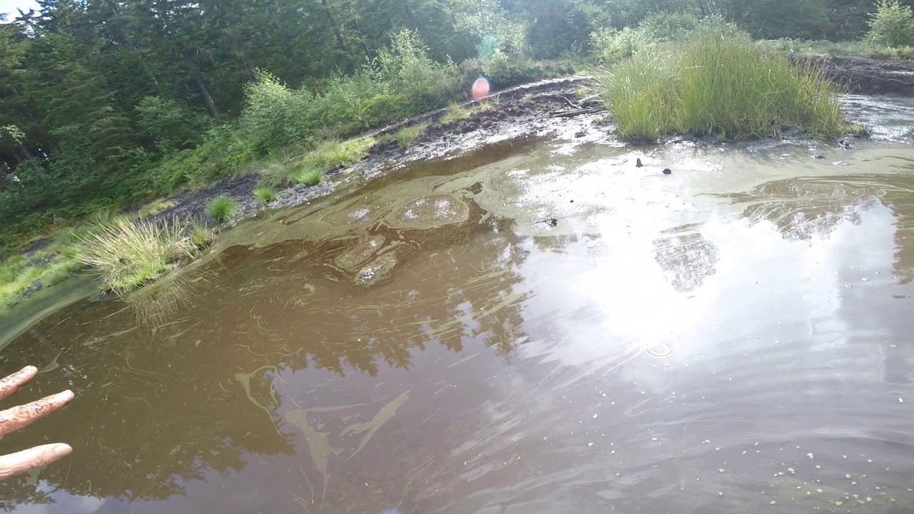 Moorbad Fleckl