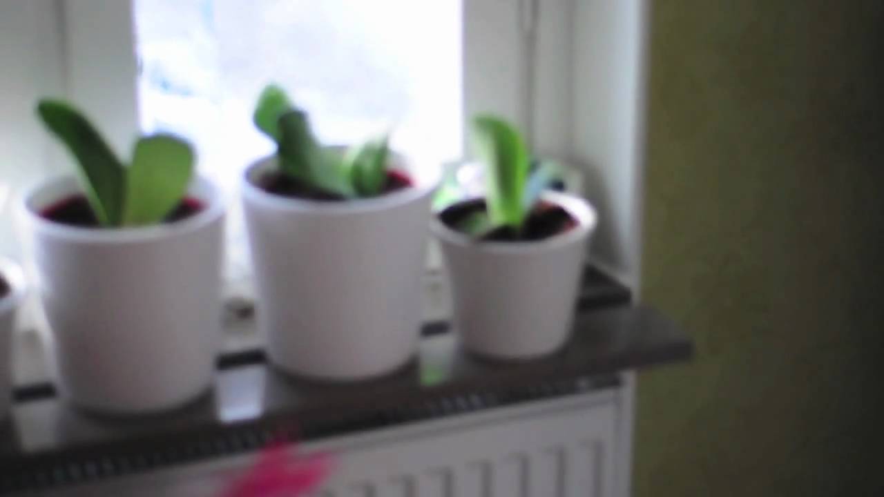 HTML 5 HD quality test
