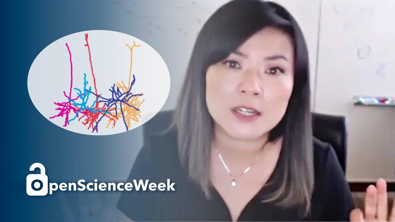 Open Science Week | Denise Cai, Ph.D.