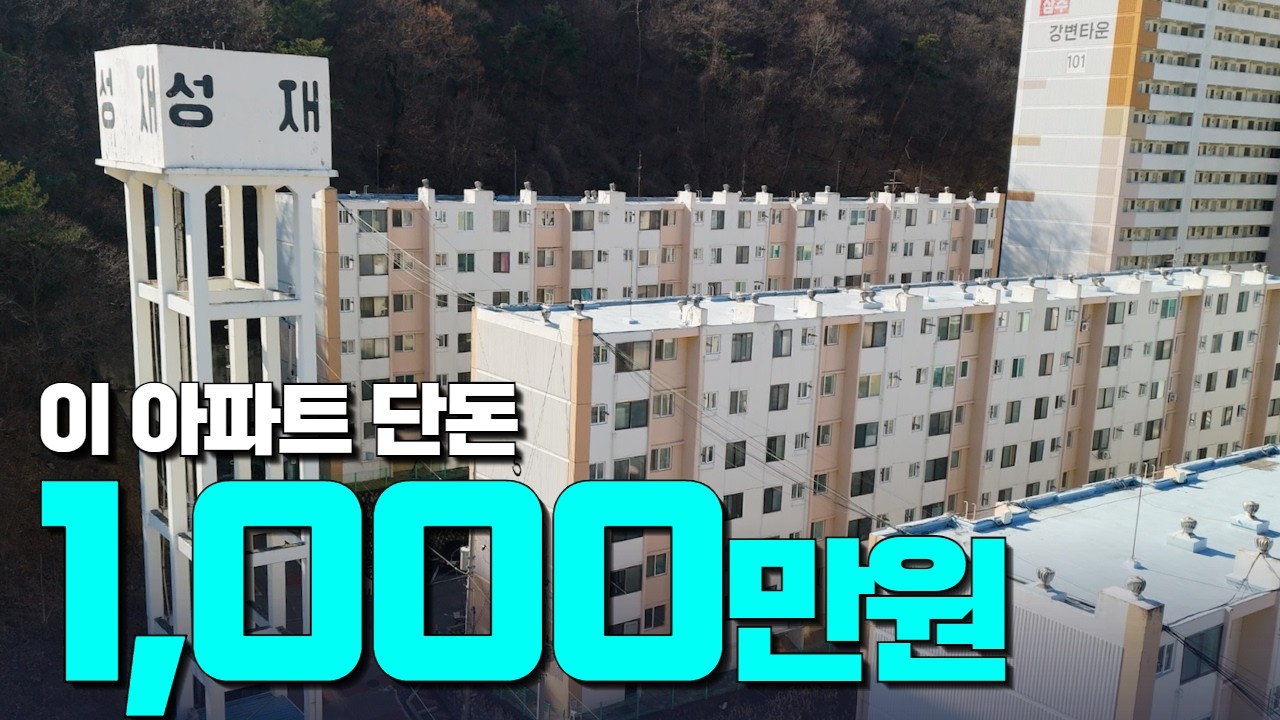 월세 보증금 아닙니다❌️ 실거래가 1천만원 아파트의 실체! 깜짝 놀랄 반전의 실내까지!
