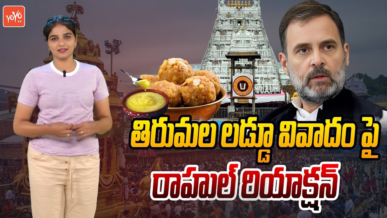 Rahul Gandhi Reaction On Tirupati Laddu Row | Tirupati Laddu Prasadam Reports | Tirumala | YOYOTV
