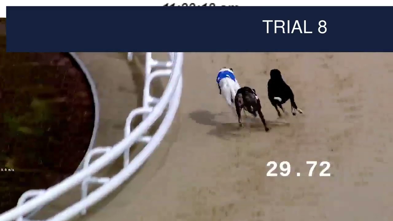 Dunstall Park Trials on 5th September 2025