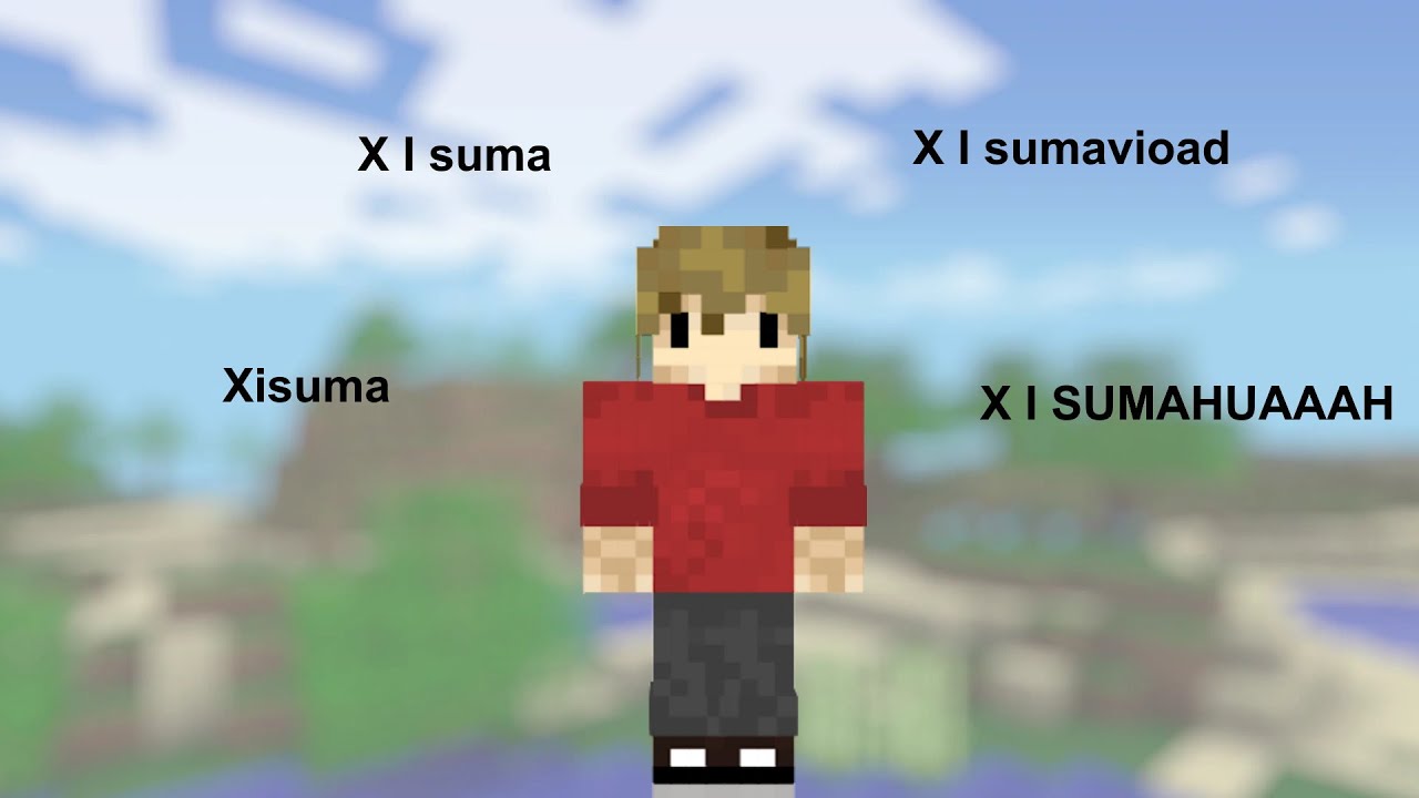 Grian Saying Xisumavoid