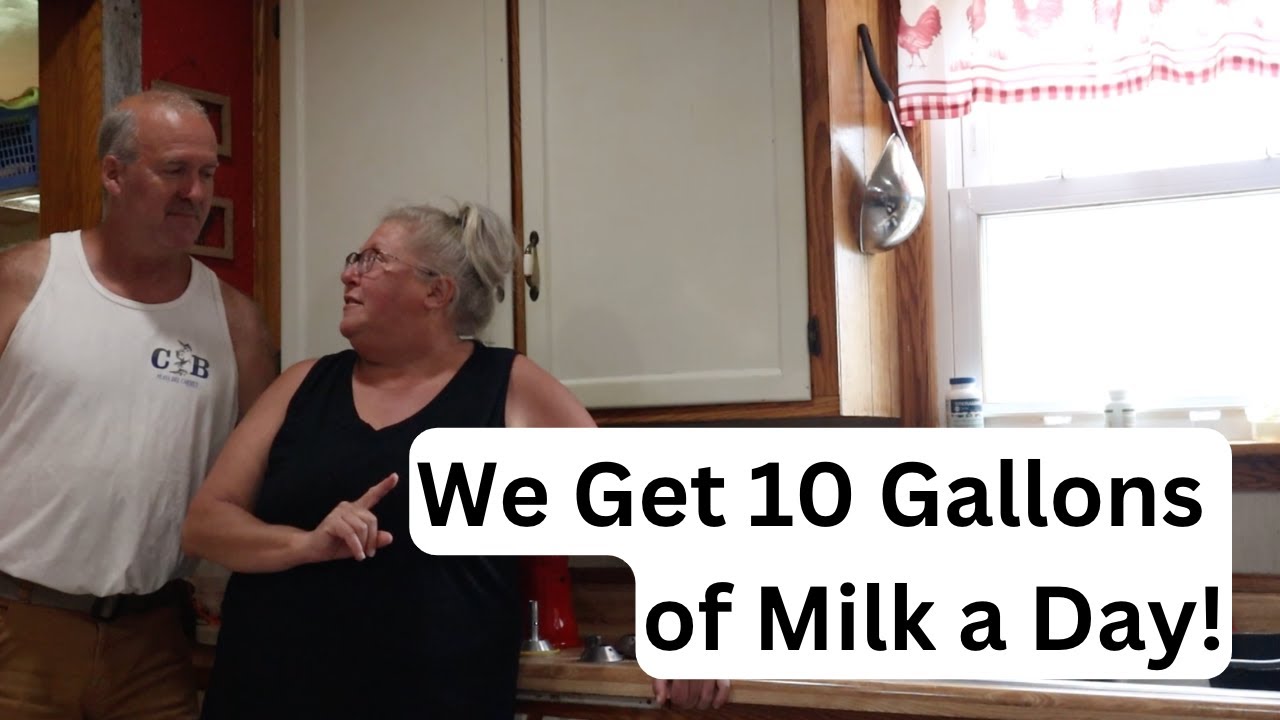 Cream Separating | How We Manage 10 Gallons of Raw Milk A DAY