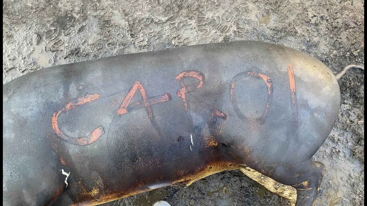 [ATLANTIS] LUCA PONTAJ #6