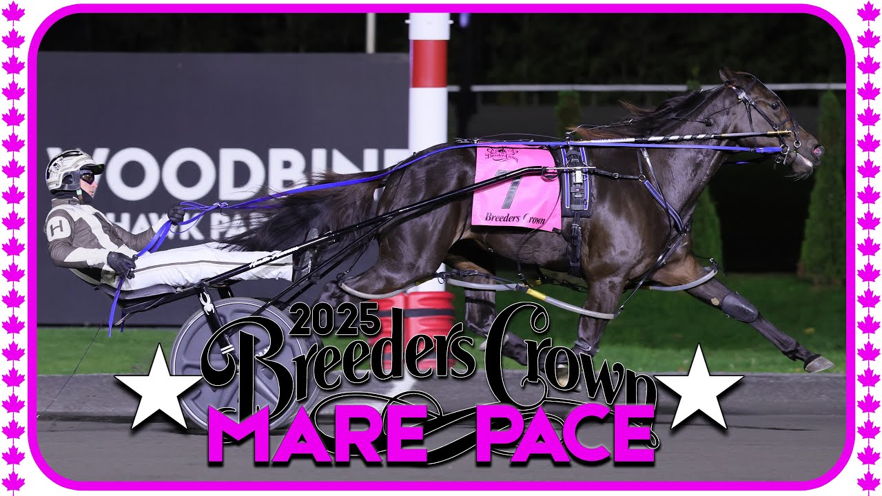 2025 Breeders Crown | Always B Naughty | Mare Pace