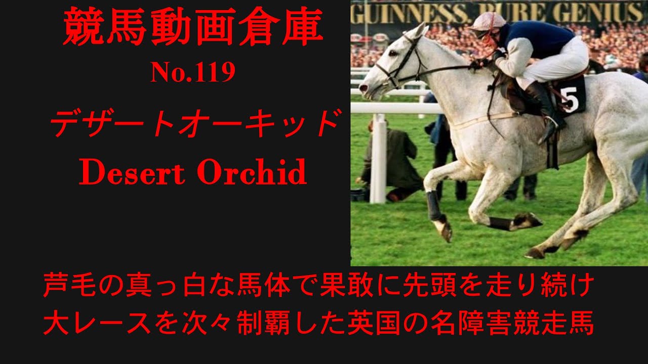 【競馬】デザートオーキッド　Desert Orchid【No119】