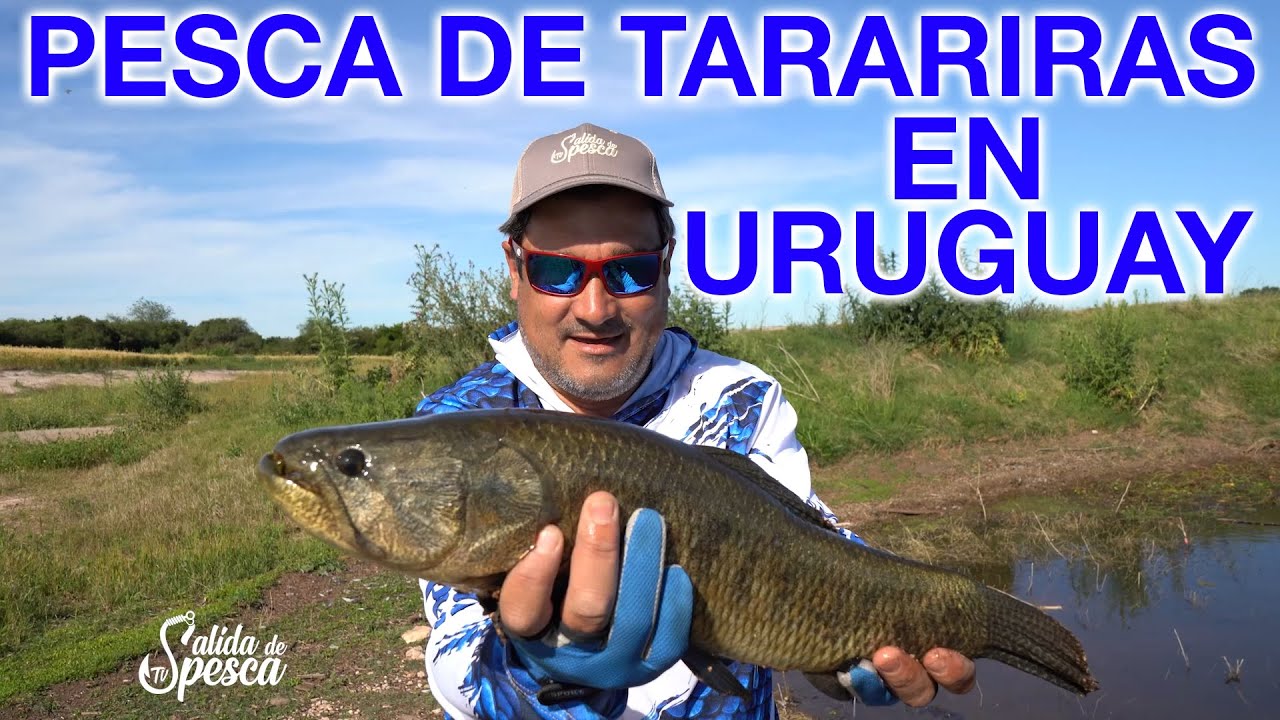 ¿Cómo se pescan las Tarariras en Uruguay? Pesca en Soriano - Uruguay