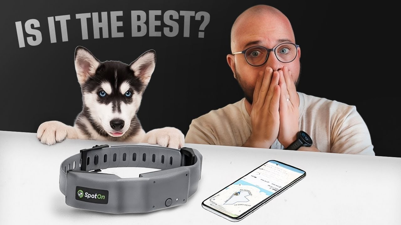 SpotOn GPS Fence Review 2026: Accuracy, Setup & Real Testing