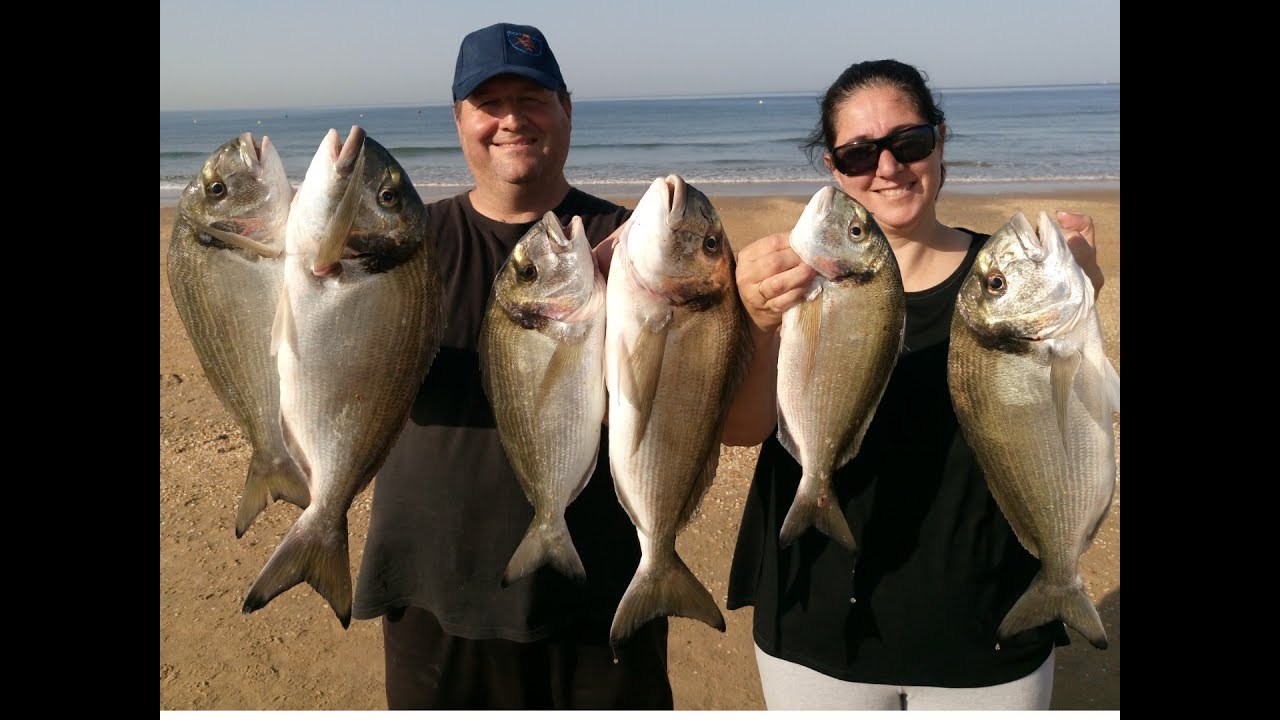 SURFCASTING PESCA DORADAS EN FAMILIA