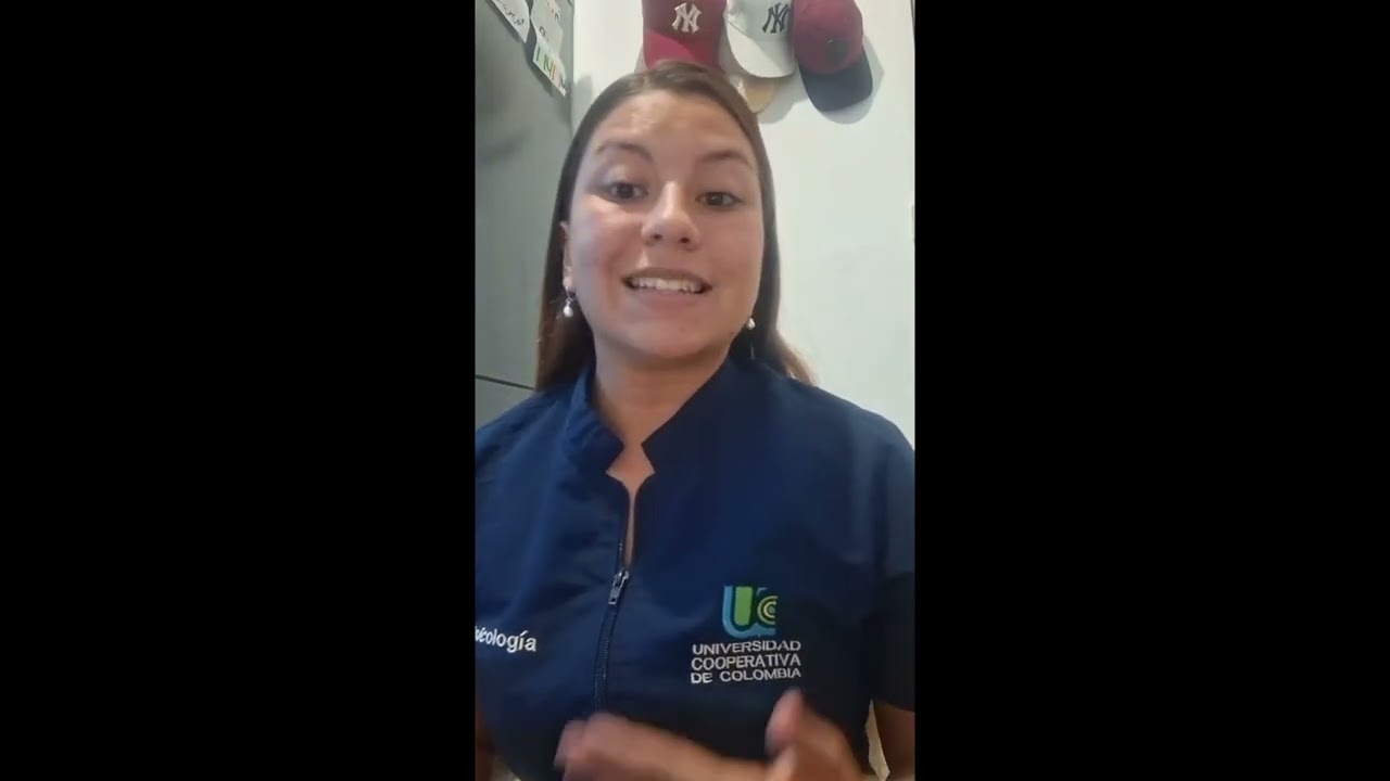 MOMENTO EVALUATIVO 1 Institucional II