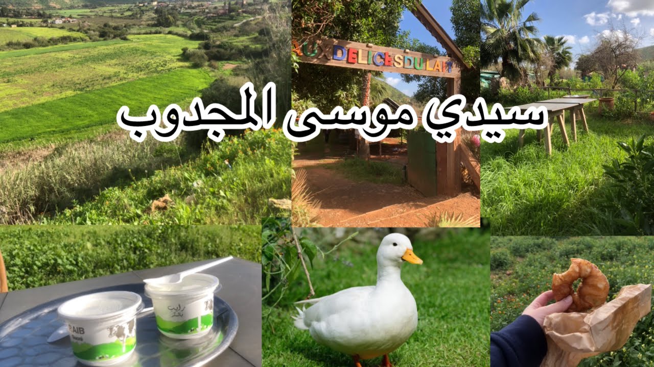 جولة في سيدي موسى المجدوب نواحي المحمدية طبيعة اكثر من رائعة مناظر خلابة دوزت فيها نهار رائع  🥰