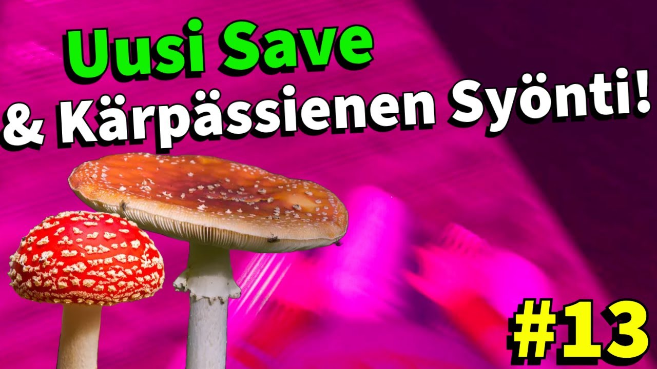 SÖIN KÄRPÄSSIENEN & UUSI SAVE! #13 | Finnish Cottage Simulator