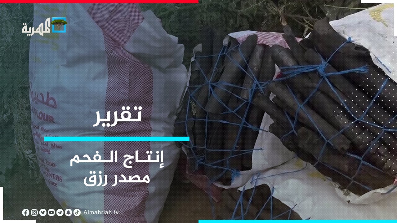 إنتاج الفحم.. مصدر رزق للعديد من النازحين في محافظة تعز