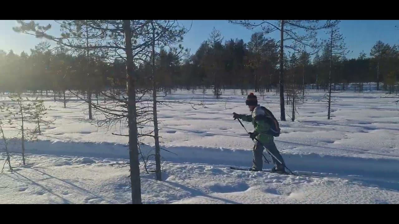 Hiihtoretkellä Tiilikan kansallispuistossa 02.03.2026
