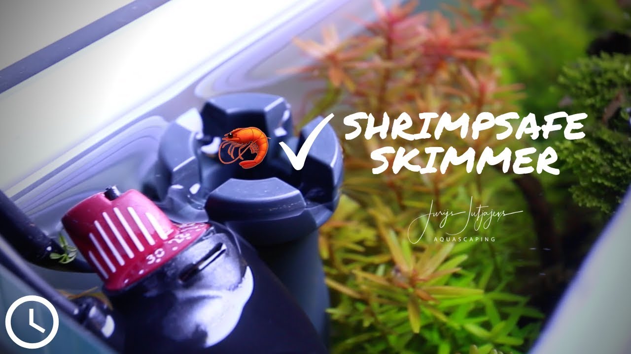 the shrimp safe surface skimmer - invisible modification!