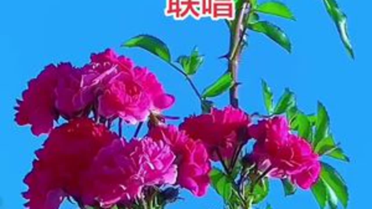 #山青水秀好地方