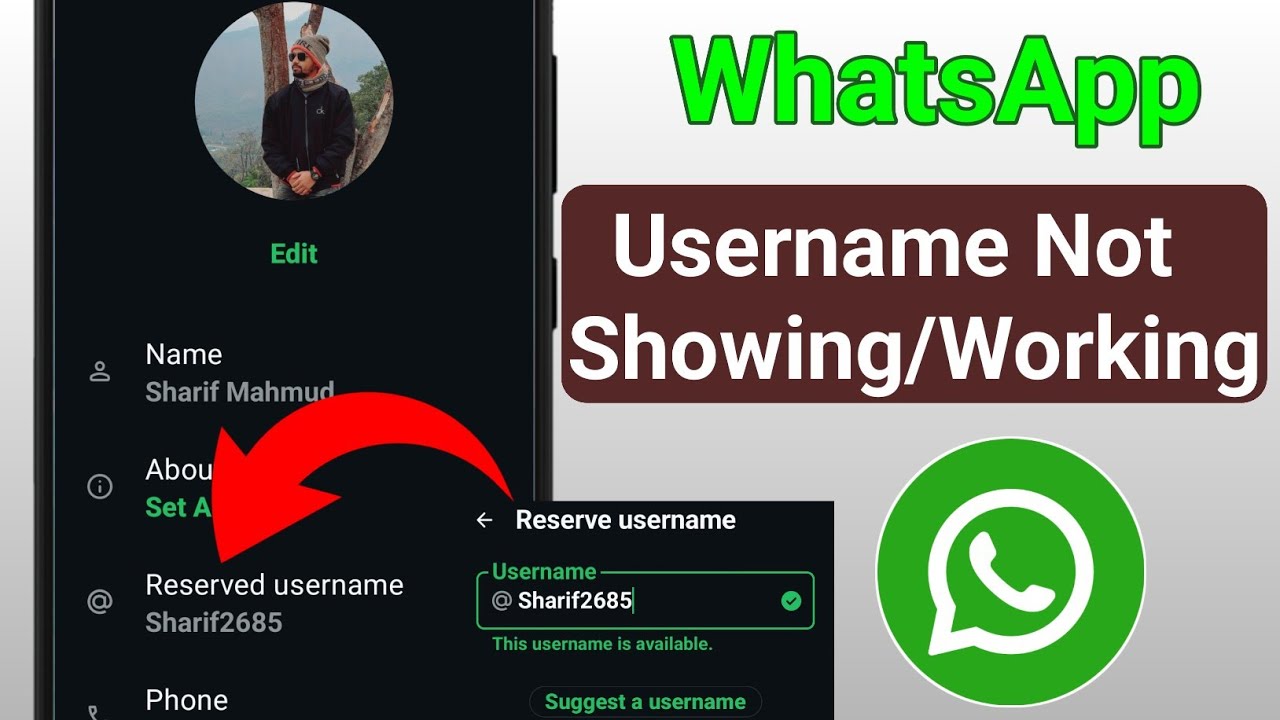 How To Fix Whatsapp Username Option Not Showing/Working Problem | Whatsapp New Feature