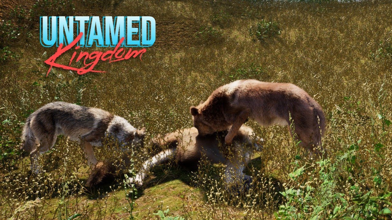 Untamed Kingdom: Partial Combat