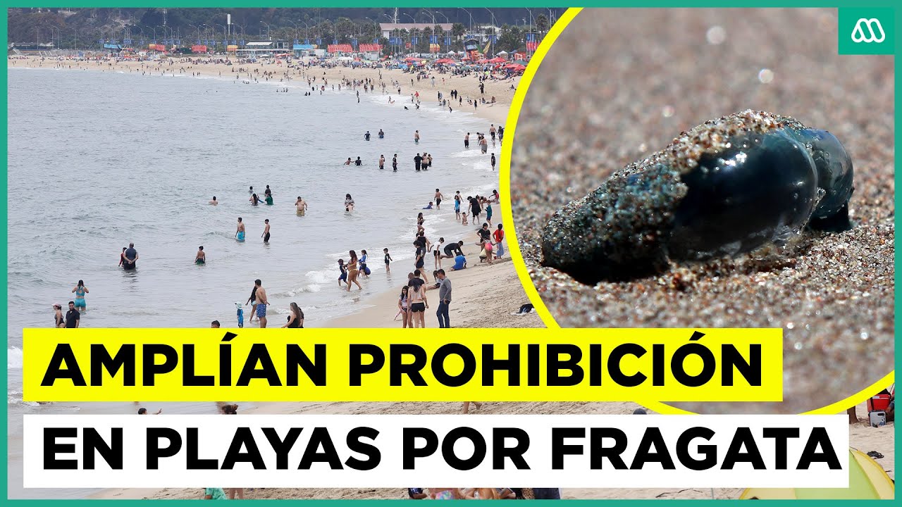 Prohíben baño en playas del litoral central por fragata portuguesa: Algarrobo y El Quisco