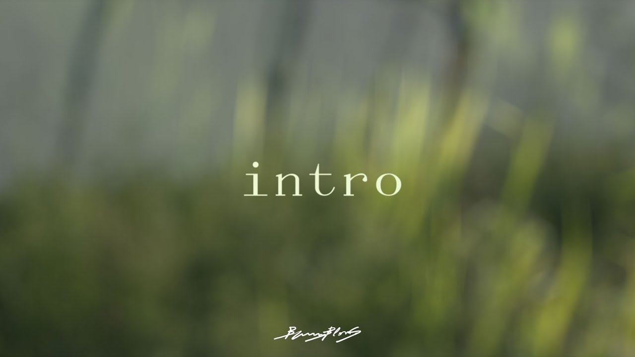 Burning Blossoms  -  intro (Visualizer)
