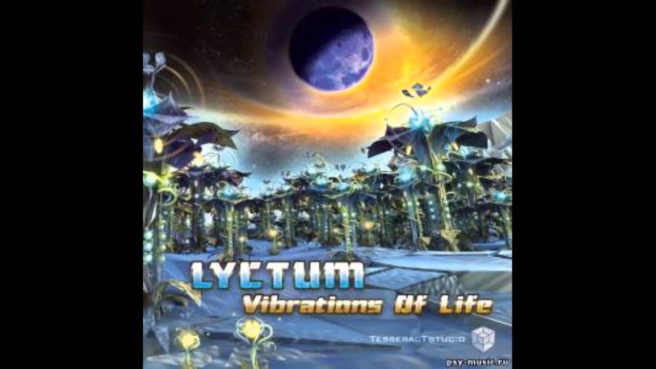Lyctum   gravity loss