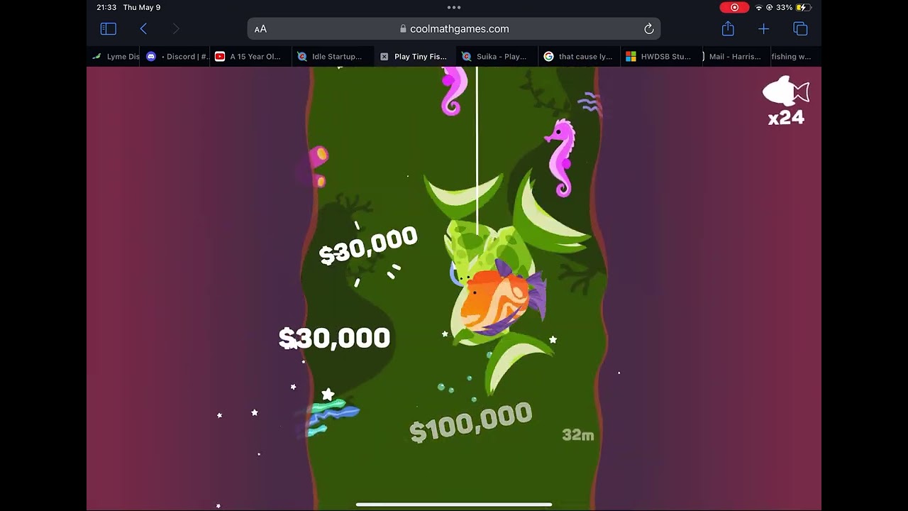 (Former) Tiny fishing world record fish 2024