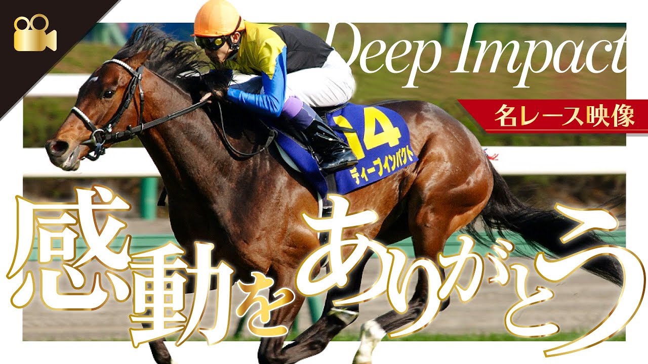 【ダイジェスト版】ディープインパクト感動をありがとう【レース映像】追悼 -Deep Impact-