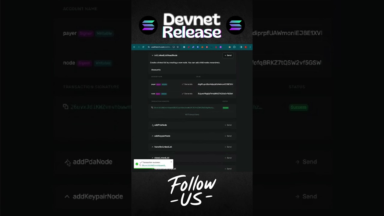 Program interface Demo (DevNet Release) 💰 #solana #crypto #blockchain #sol #viral